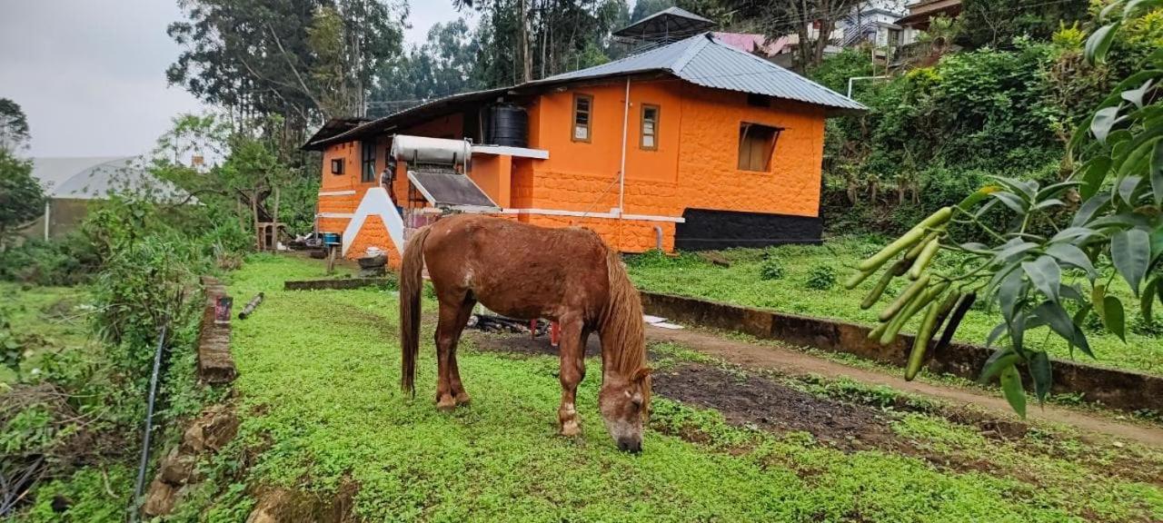 Paradise Cottage Vattavada, Munnar Eksteriør billede